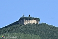 VBS_5683 - C'è un mare di velluto verde! E tu che sognavi di andare lontano... Quanta meraviglia, quì!